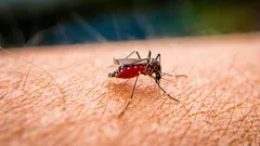 Warum juckt ein Mückenstich so sehr und wie kann man das Jucken schnell lindern?